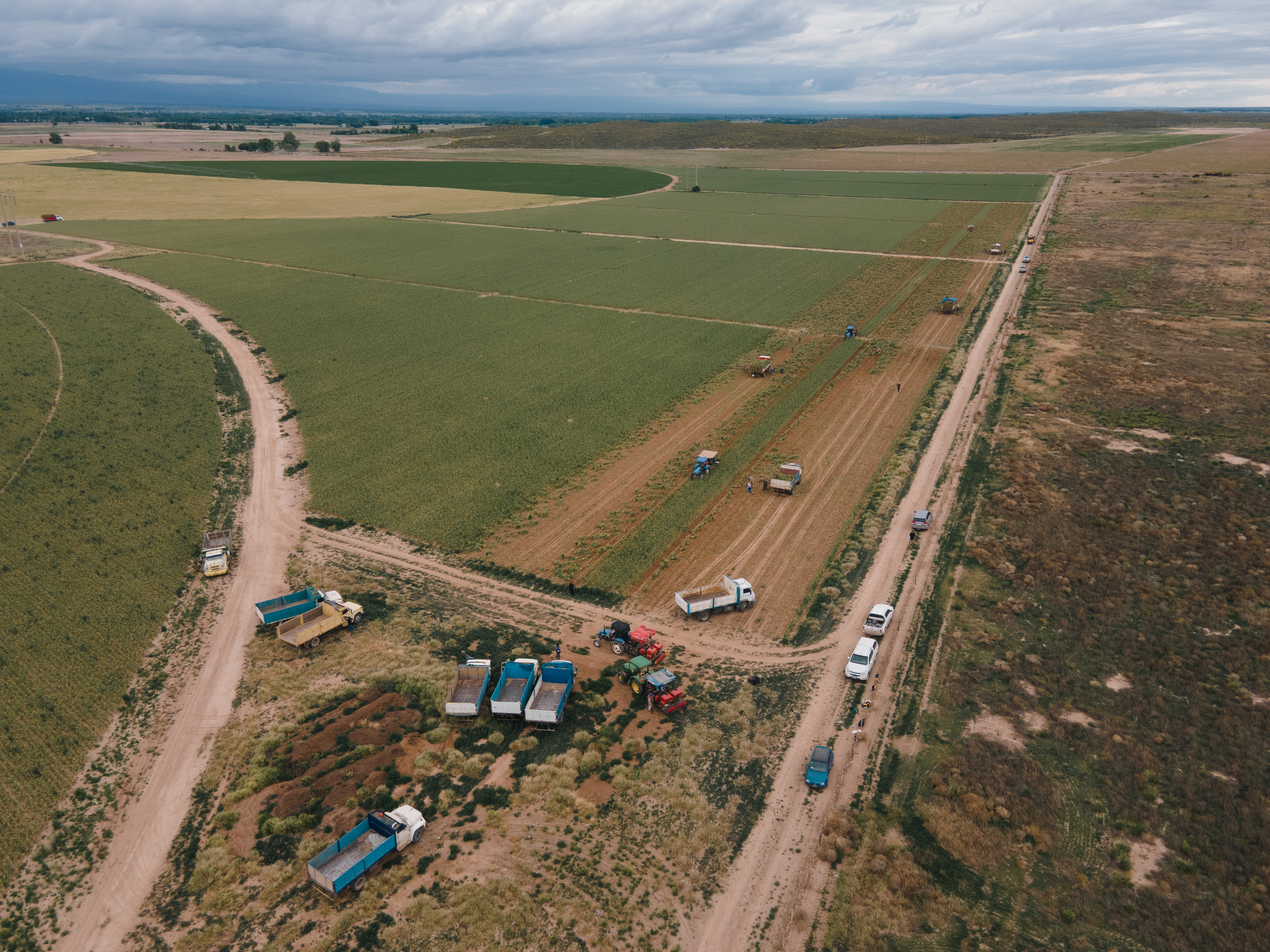 In Natura - Calibre 1